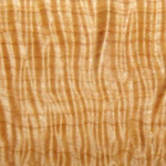 Wood Type Title